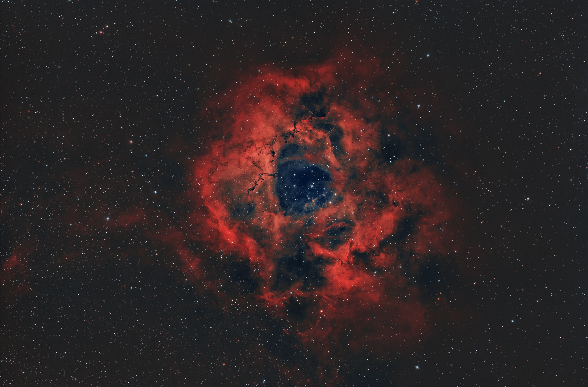 The Rosette Nebula (Caldwell 49) is an H-II region located at the edge of a giant molecular cloud in the Monoceros region of the Milky Way. The stars of the open star cluster NGC 2244 in the center were formed from the material of the nebula.